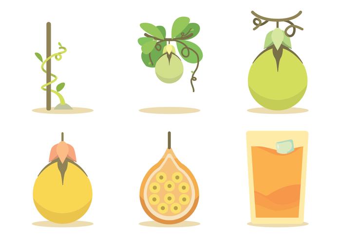 Passion Fruit Vector Set