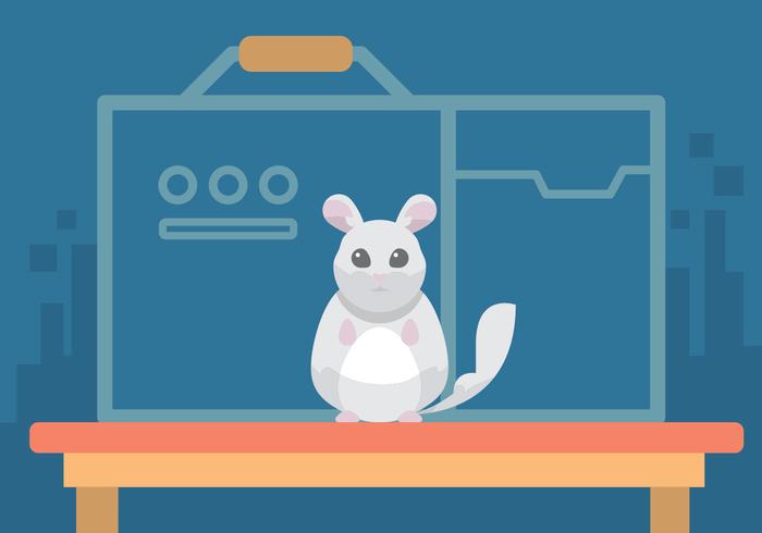 Chinchilla Vector Art