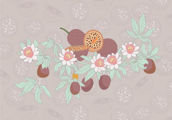 Passion Fruit Simple Vector