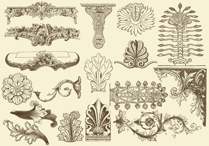 Acanthus Decorations vector