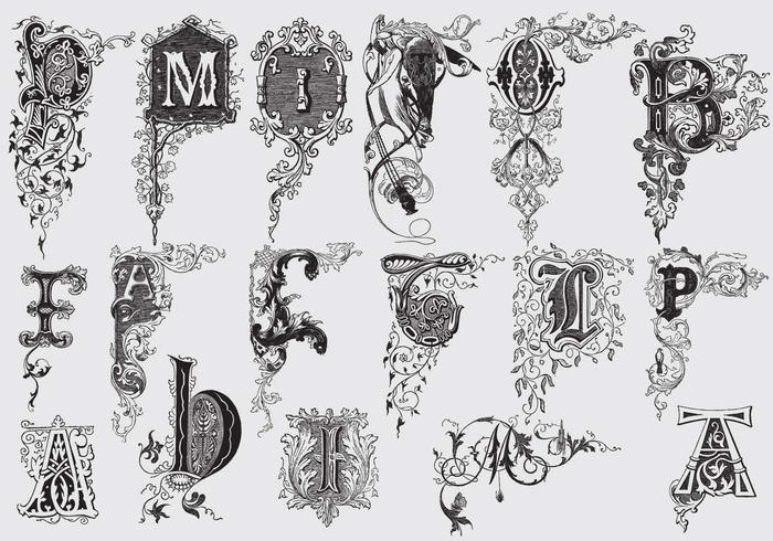 Letras de mayúsculas con Acanthus Decor vector