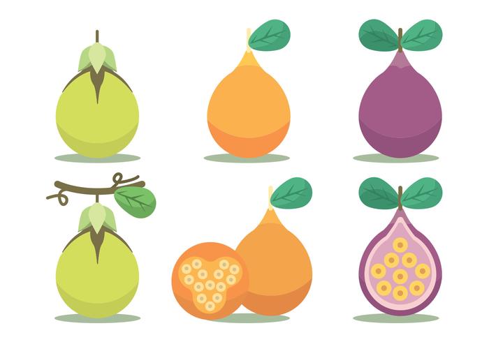 Passion Fruit Vector Set