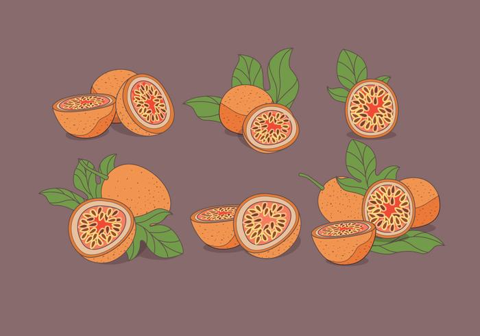 Vector de la fruta de la pasión