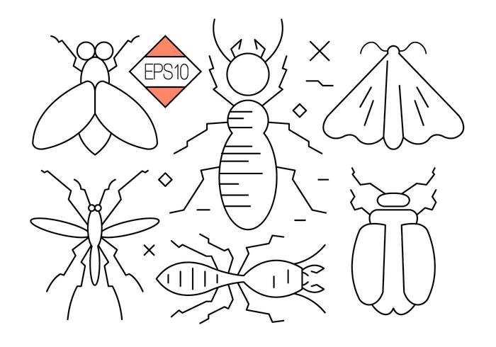 Bug e iconos de vector de insectos