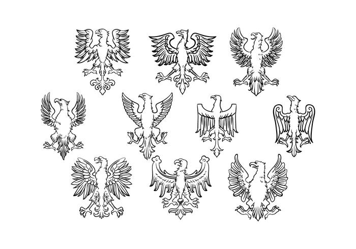 Free Polish Eagle Vector