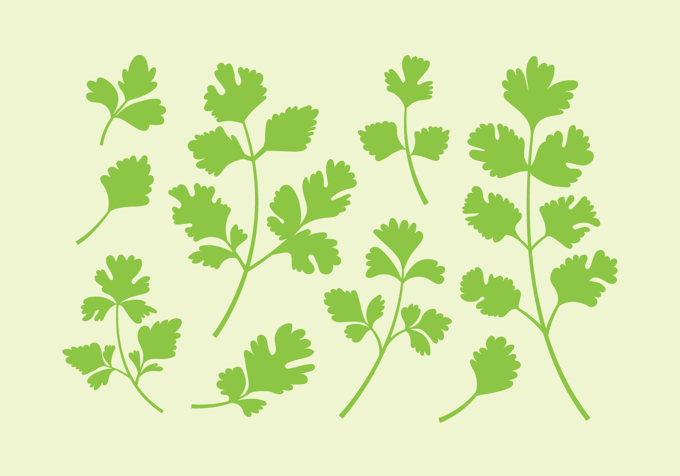 Cilantro Vector Art, Icons, and Graphics for Free Download