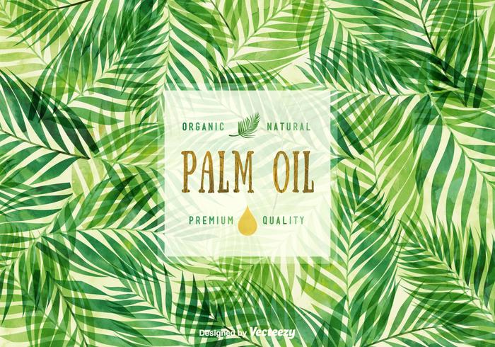 Free Palm Oil Vector Background