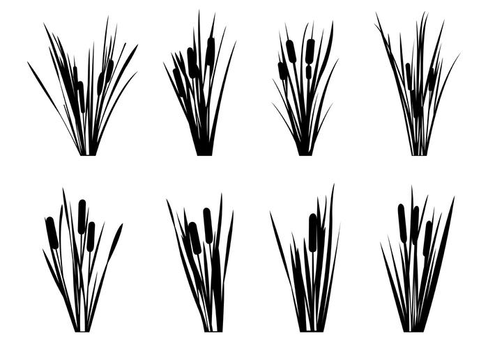 Set Of Reeds Silhouettes vector