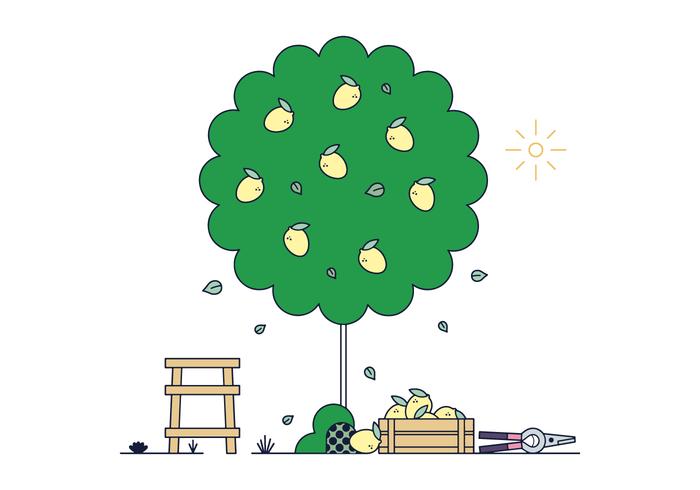 Free Lemon Tree Vector