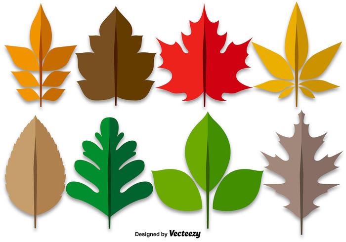 Maple Leaves Colorful Set vector