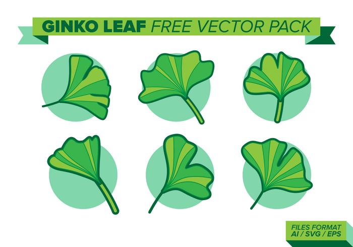 Ginko Leaf Free Vector Pack Ginko Leaf Free Vector Pack