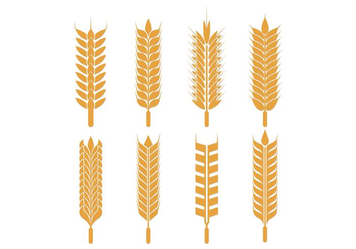 Vector Pack Of Oats Vector Pack Of Oats