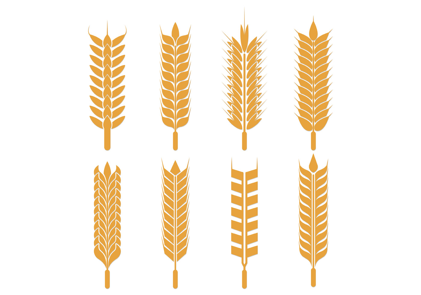 Oats SVG