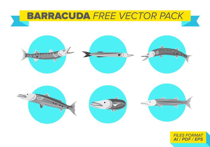 Barracuda Free Vector Pack Barracuda Free Vector Pack