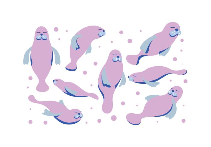 Manatee Vectors