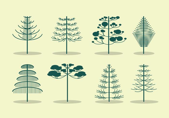 Vector árbol libre de la araucaria