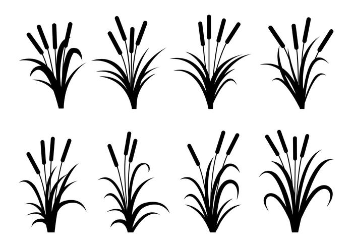 Cattails Silhouette Vectors