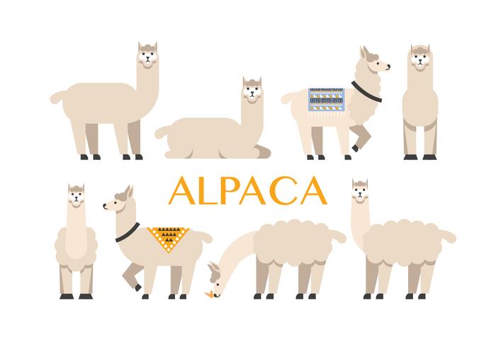 Alpaca vector icons Alpaca vector icons