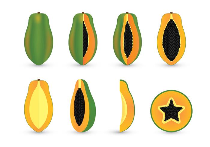 Papaya Vector Sets Papaya Vector Sets
