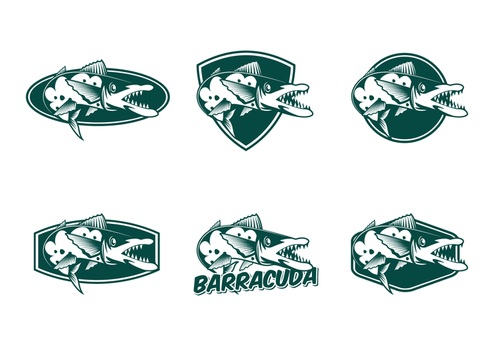 Free Barracuda Vector