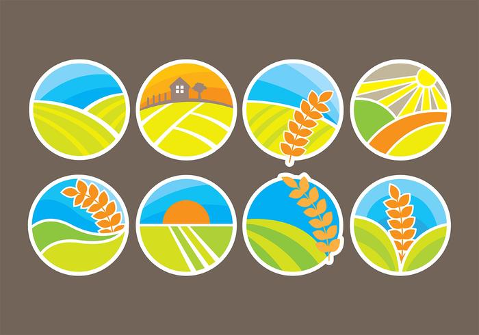 Rice Icons Vectors