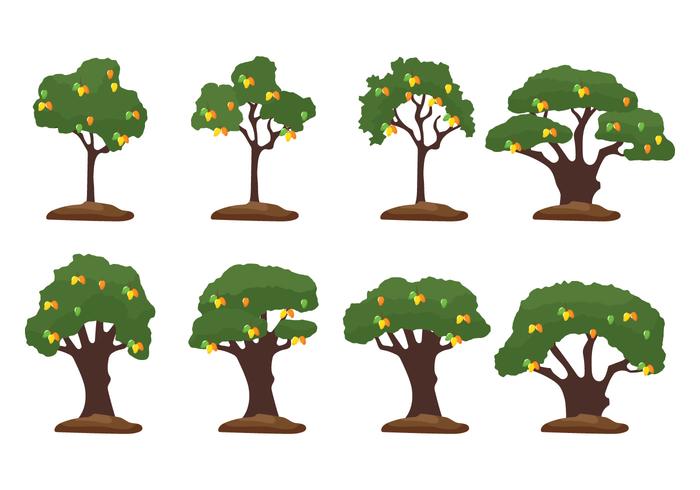 Ilustración de árbol de mango vector