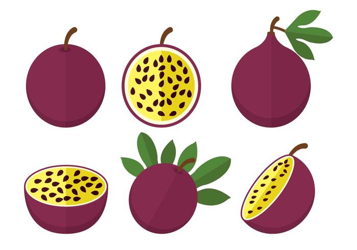 Passion fruit vector