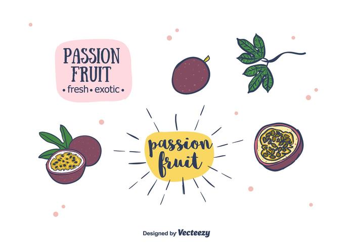 Vector de la fruta de la pasión