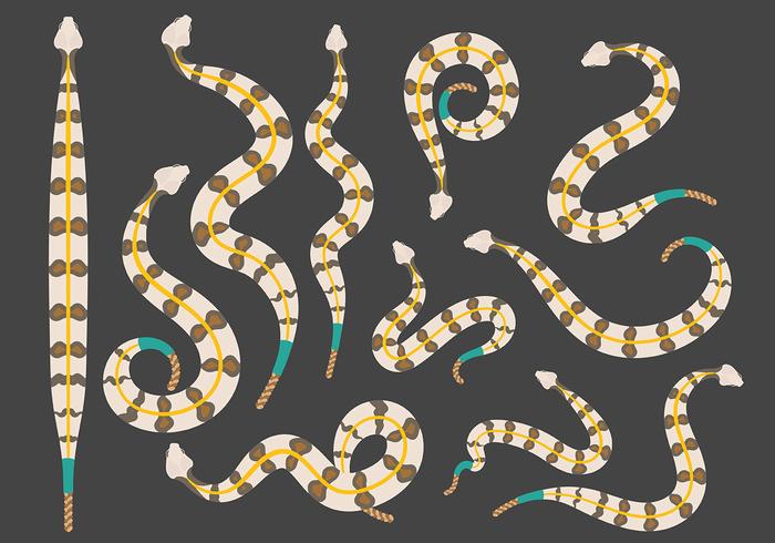 Iconos de la serpiente de cascabel gratis vector
