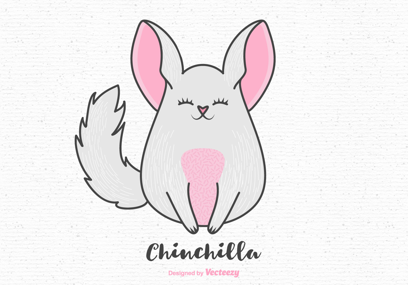 Free Cartoon Chinchilla Vector 127835 Vector Art at Vecteezy