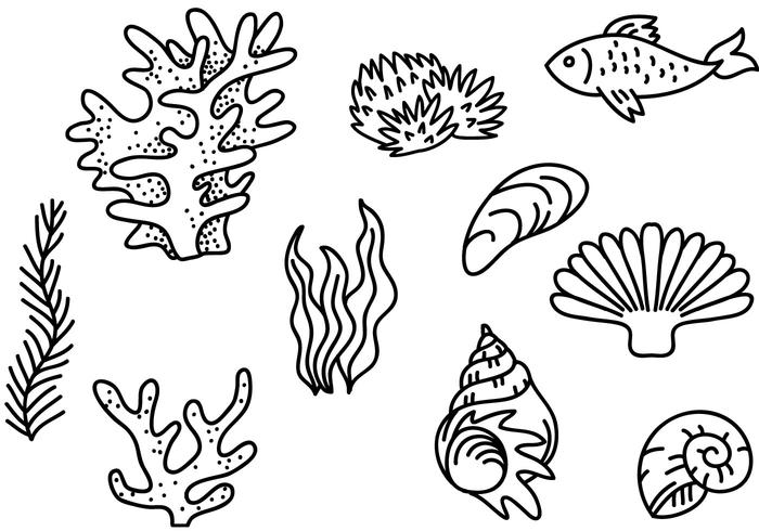 Free Sea Creatures Vectors