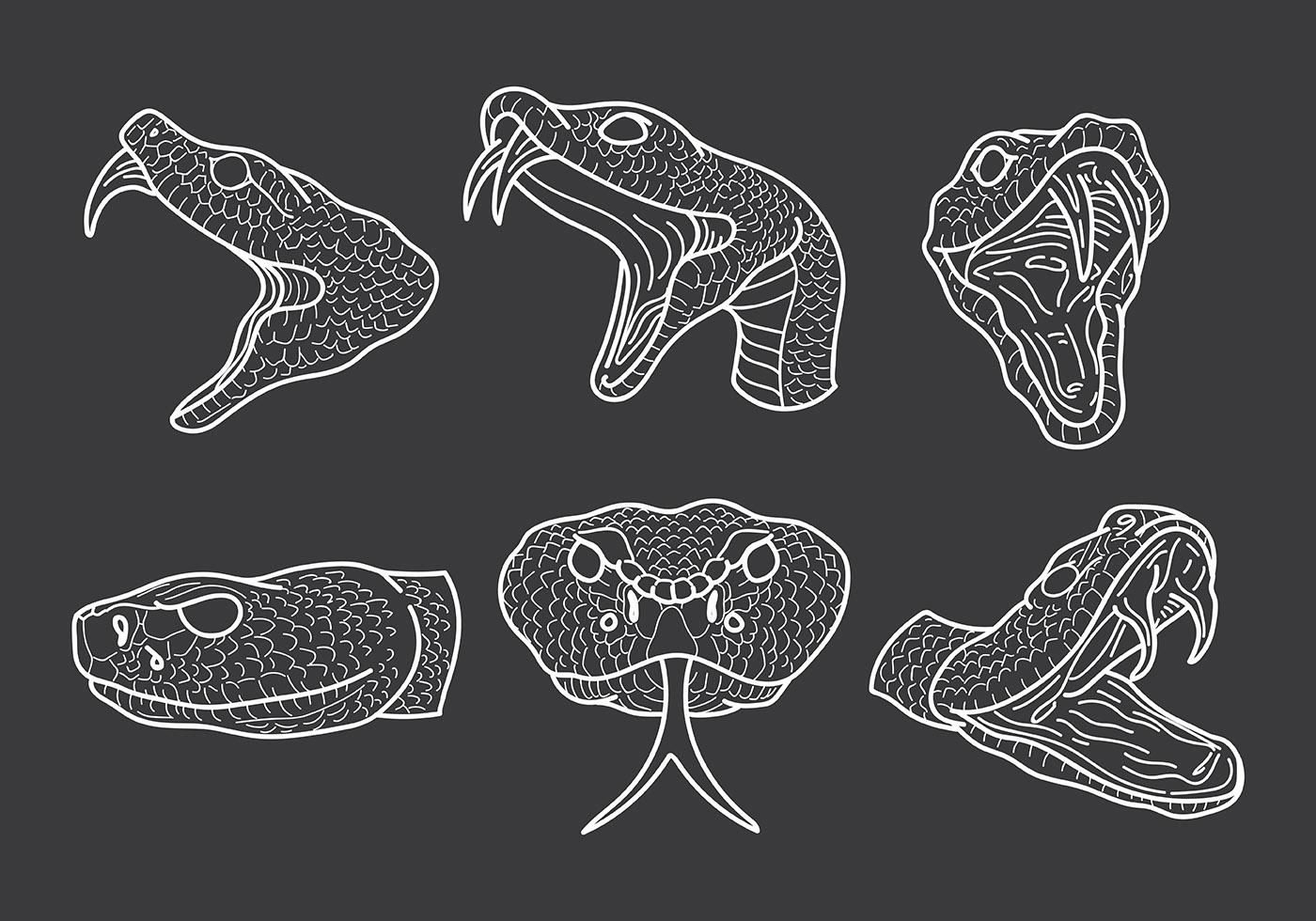 Free Rattlesnake Icons Vector 127941 Vector Art at Vecteezy