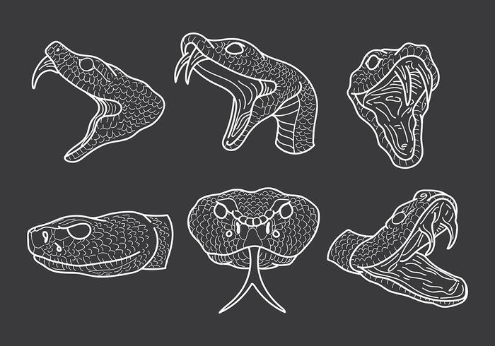 Free Rattlesnake Icons Vector