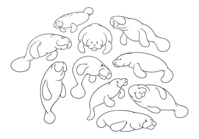 Libre de dibujos animados Manatee Vector