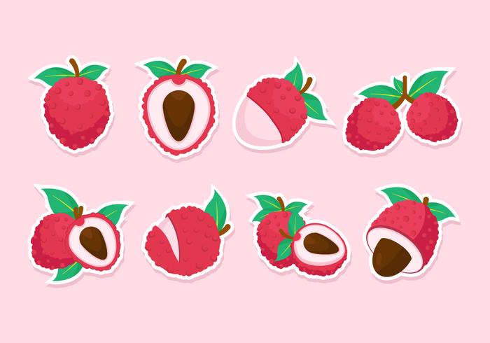 Free Lychee Vectors Free Lychee Vectors