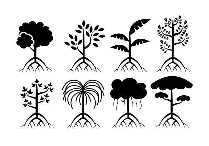 Mangrove trees vector