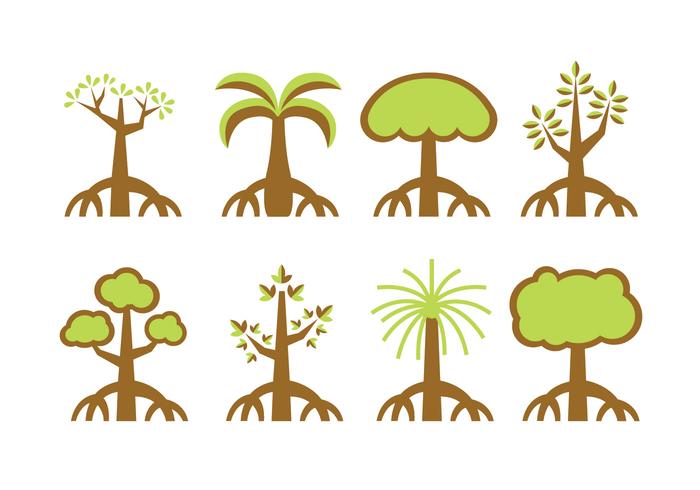 Mangrove trees vector