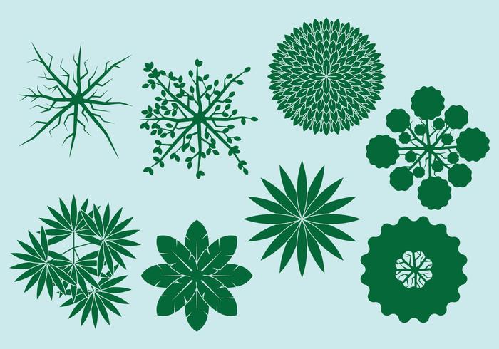 Trees Top View Landscape vector