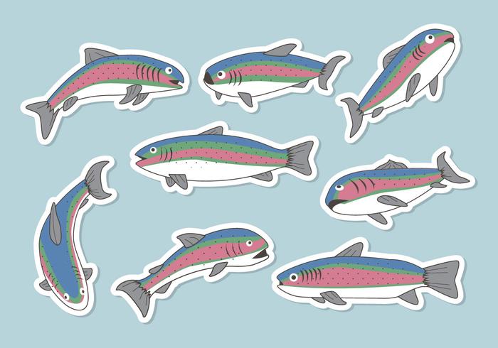 Rainbow Trout Vector