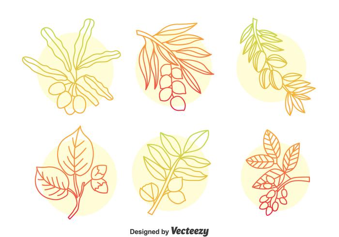 Hand Drawn Herbal Plant Vector Set