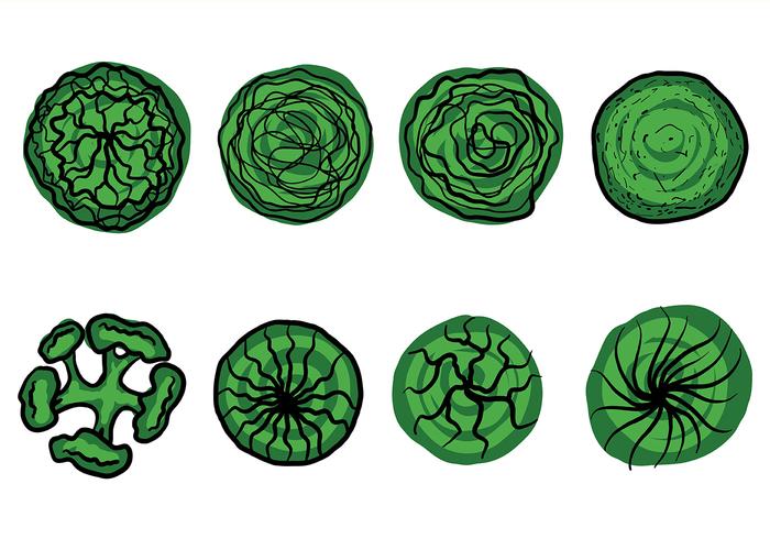 Tree Tops Vector Tree Tops Vector