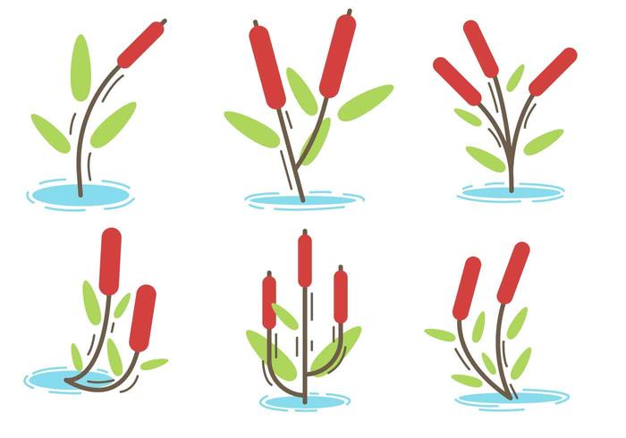 Free Cattails Vector Free Cattails Vector
