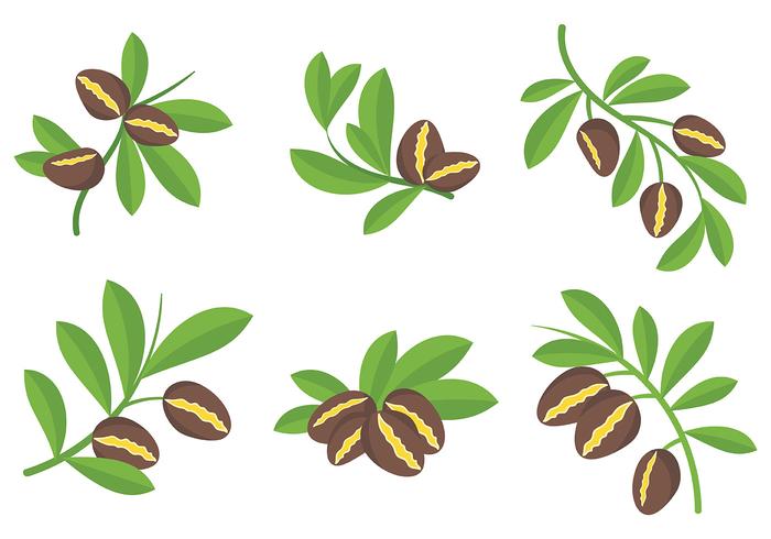 Free Argan Icons Vector