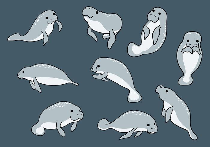 Libre Manatee Iconos Vector