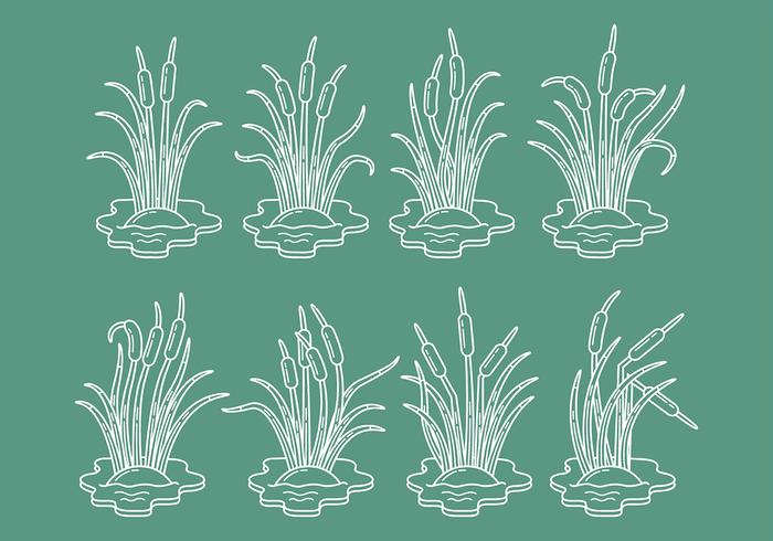 Cattail Vector Icons