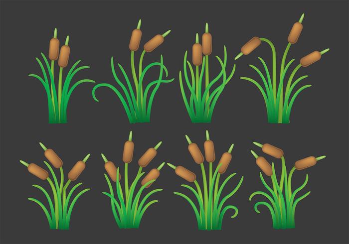 Cattails Vector Icons