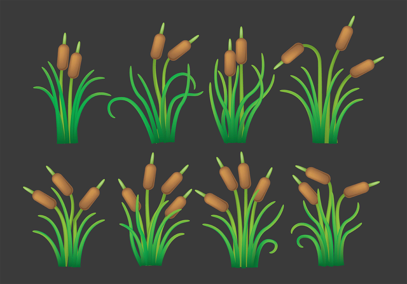 Download Cattails Vector Pictogrammen - Download Free Vectors ...