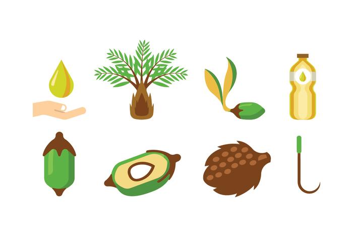 Palm Oil Vectors Palm Oil Vectors
