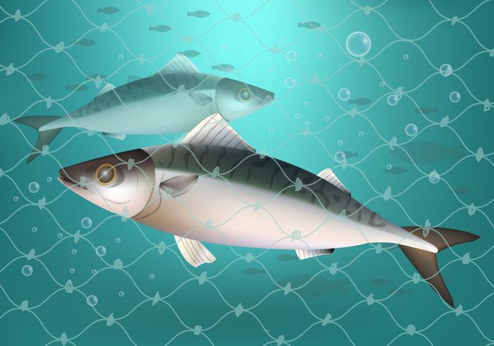 Fish Caught In Fishing Net Ilustration vector