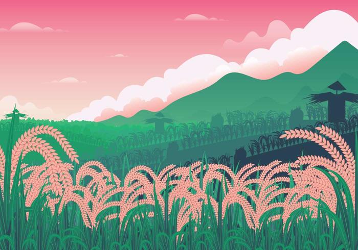 Ilustración del campo de arroz libre vector